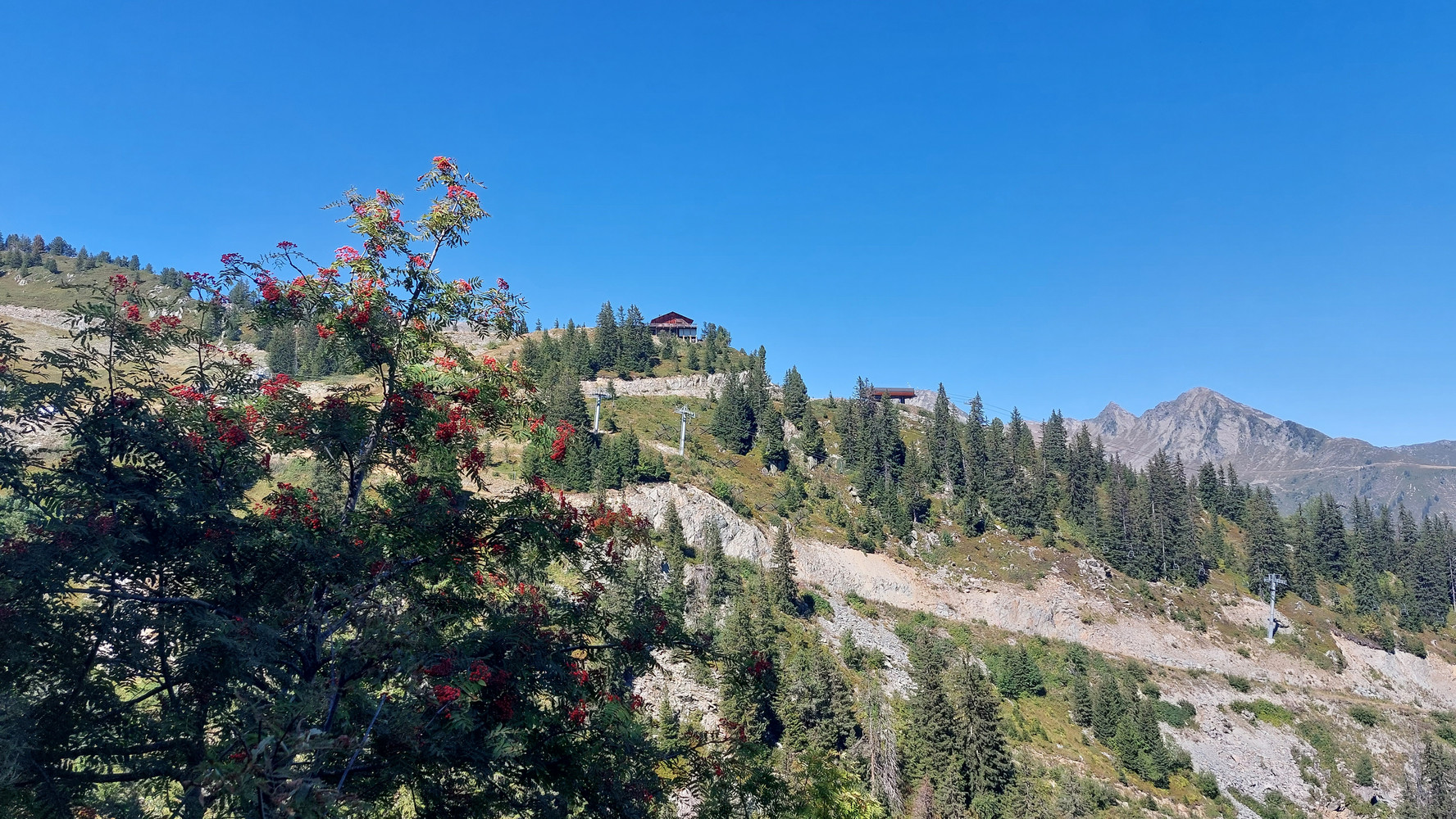 Refuge les Arolles